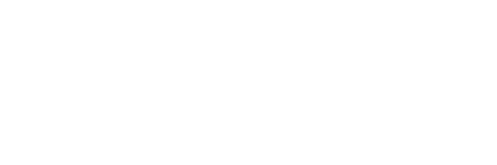 SEOnumber1